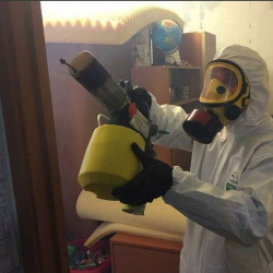 Уничтожение клопов в квартире. Каргат